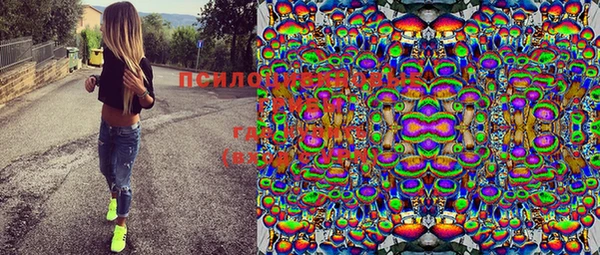 не бодяженный Ельня