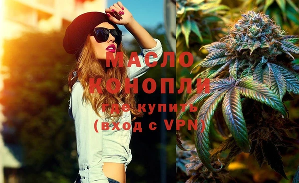 молекула духа Елабуга