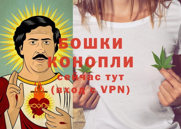 молекула духа Елабуга