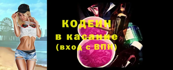 молекула духа Елабуга