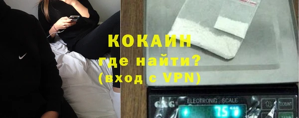 молекула духа Елабуга