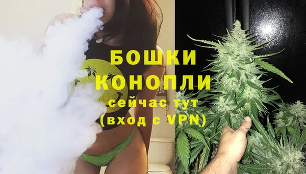 молекула духа Елабуга