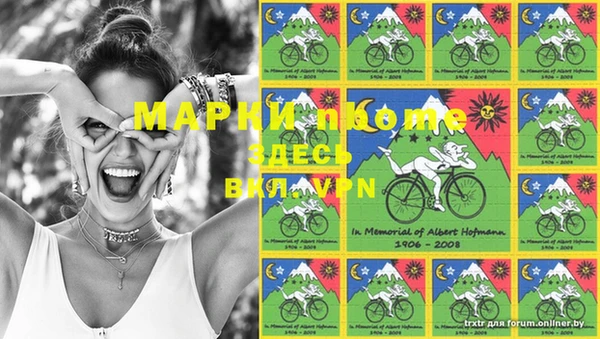 молекула духа Елабуга