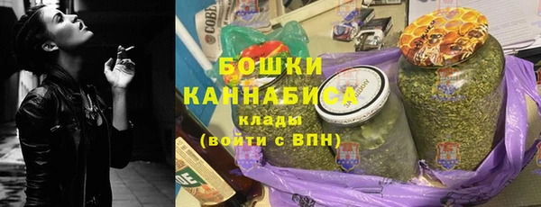 молекула духа Елабуга