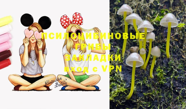 молекула духа Елабуга