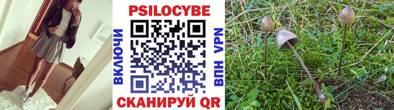 Купить  Галич  Галлюциногенные грибы мухоморы 